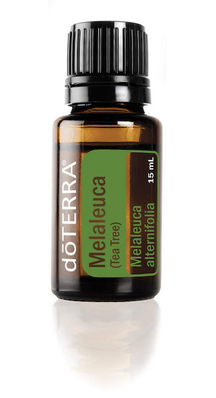doterra tea tree essential oil