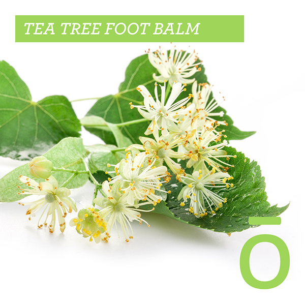 Tea Tree Foot Balm Birth Partner